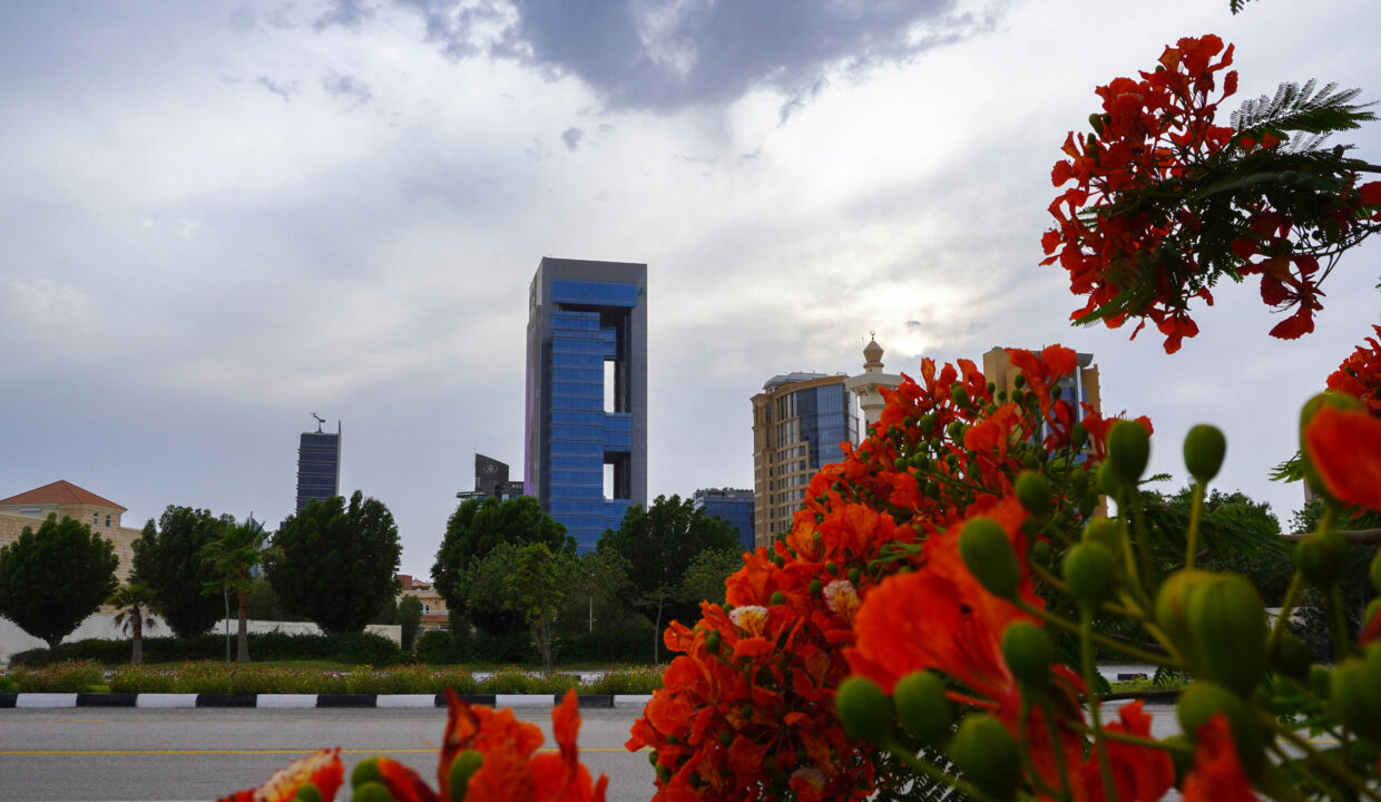 صورة-في-عقارات-الخبر-(-اعلن-معنا-)